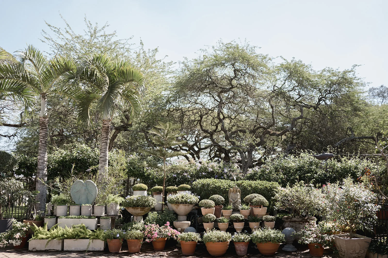 Jardín Charo Outdoor